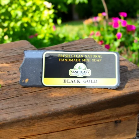 Travel Black Gold Soap