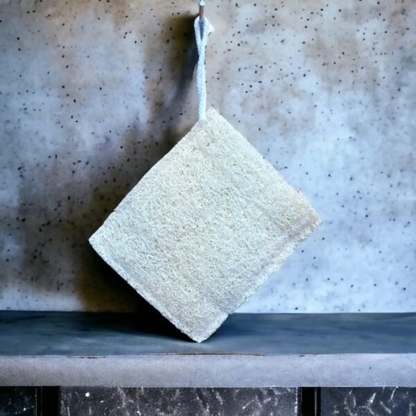 Loofah Soap Bag