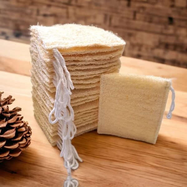 Loofah Soap Bag