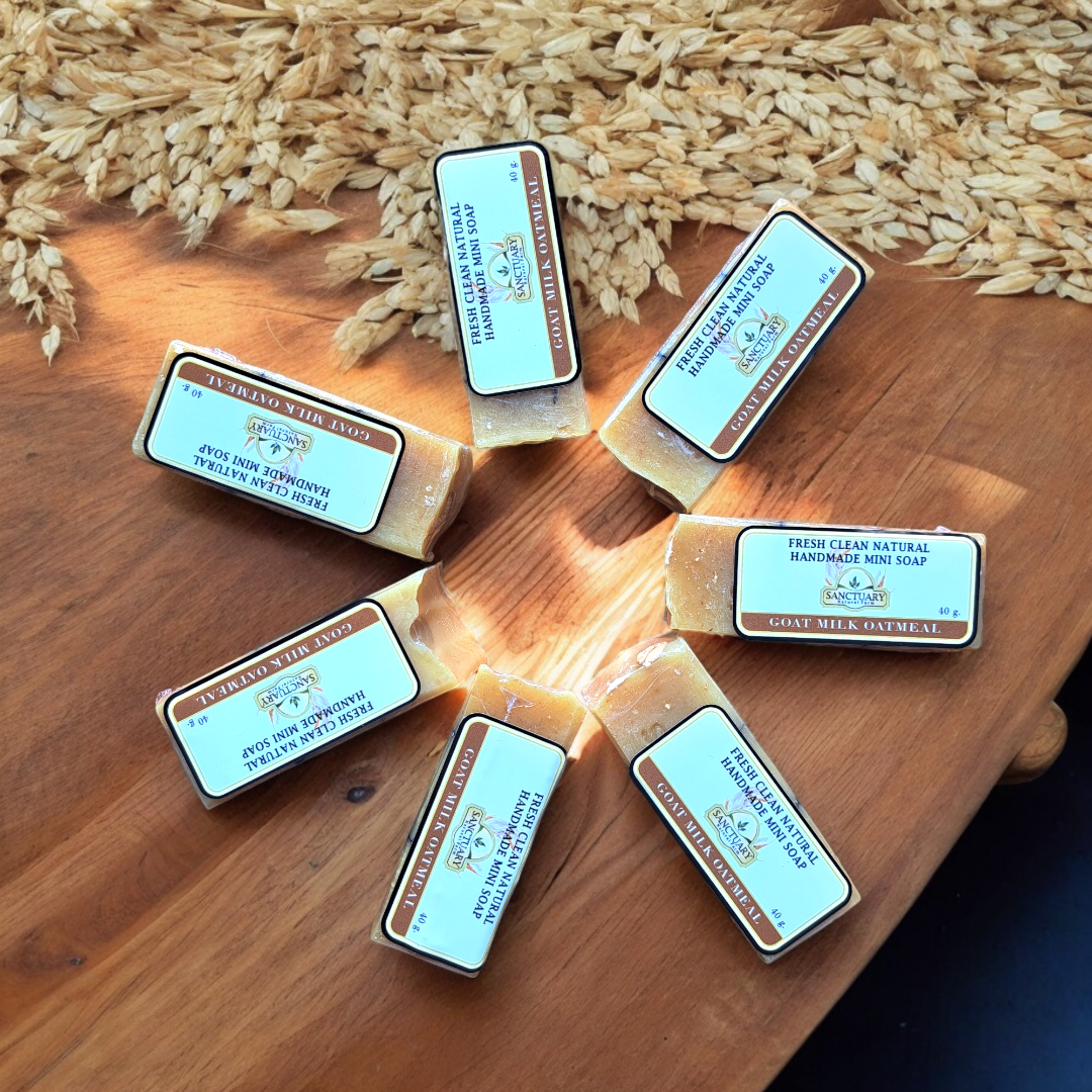 Travel Goat Milk Oatmeal Soap - Image 1