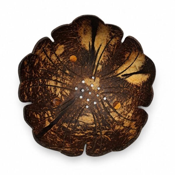 Coconut Shell Soap Dish