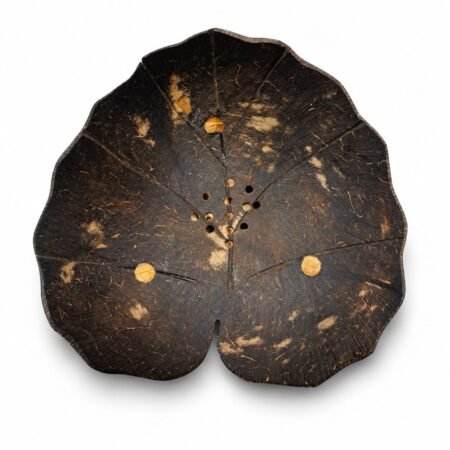 Coconut Shell Soap Dish - Image 3