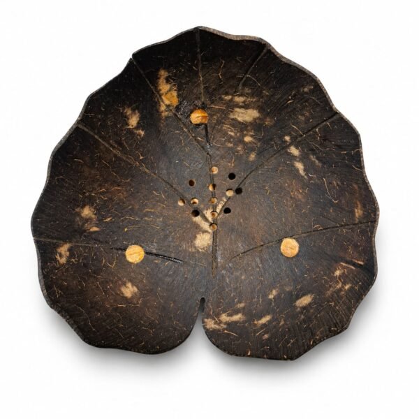 Coconut Shell Soap Dish