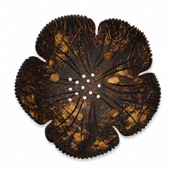 Coconut Shell Soap Dish