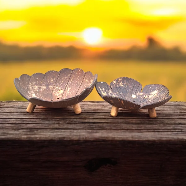 Coconut Shell Soap Dish