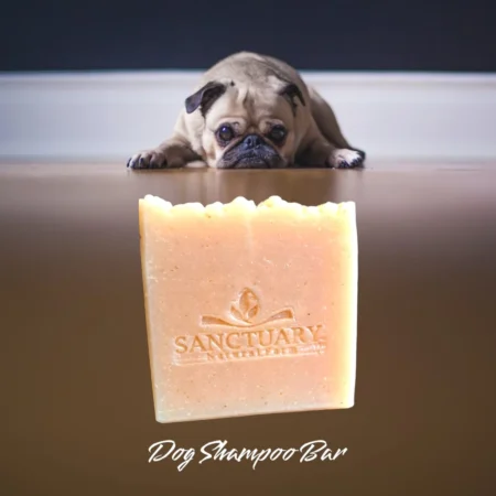Dog Shampoo Bar
