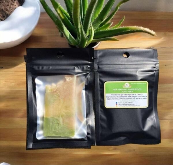 Travel Aloe Vera Soap